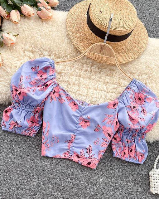 Pankh Arly Printed Crop Top