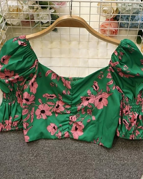 Pankh Arly Printed Crop Top