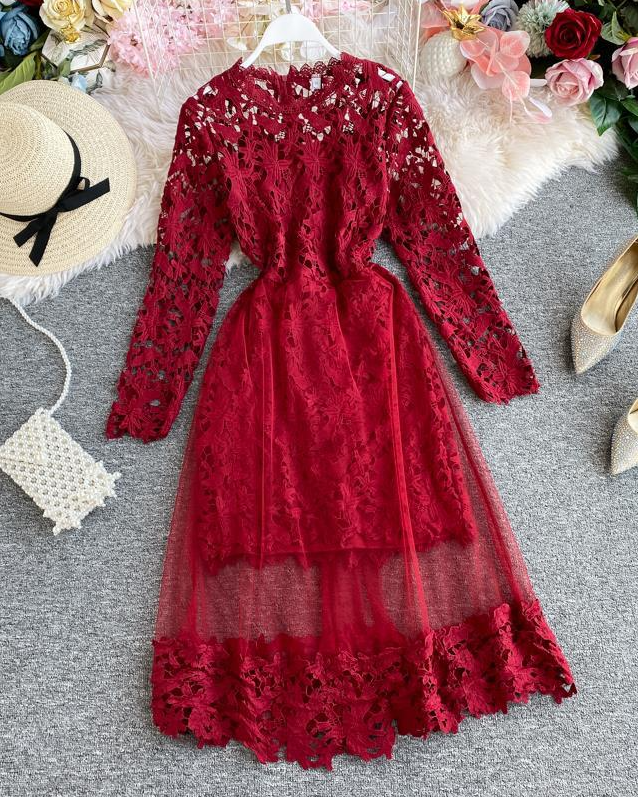 Pankh Kashusha Lace Dress
