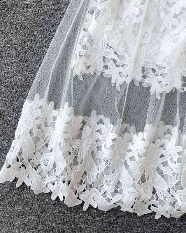 Pankh Kashusha Lace Dress