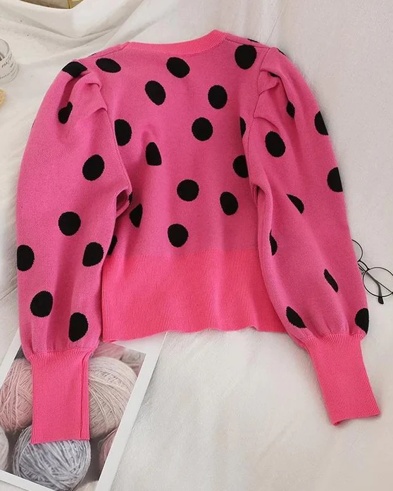 Pankh Merta Polka Blouse