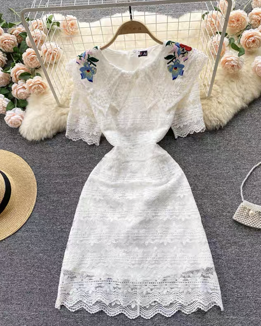 Pankh Kiera Turn-Down Collar Beautiful Dress