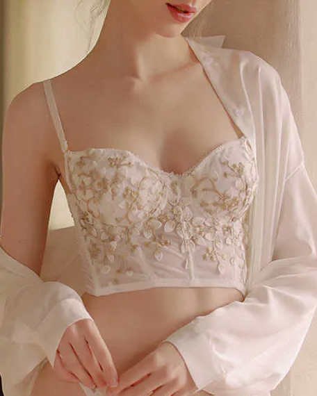 Pankh Shergil Embroidered Corset Bustier (fits upto size m/l)