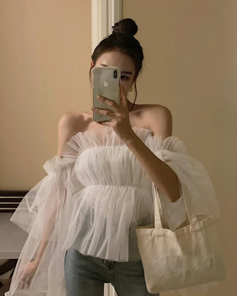 Lemori Mesh Net Gathered formal Blouse top