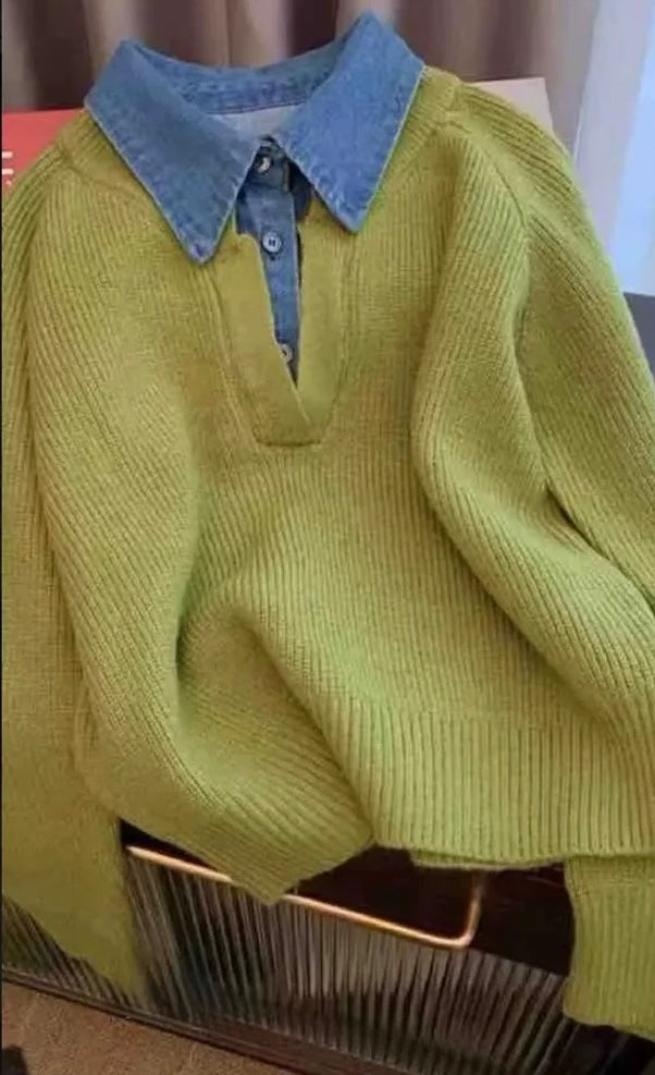 Pankh Zay Woolen Oversized Sweater Top