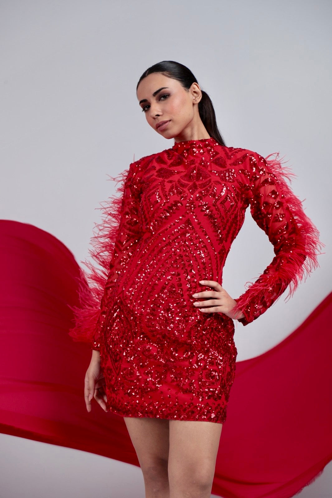 Pankh Habibi Sequin Embroidered Party Wear Dress With Fur Sleeves