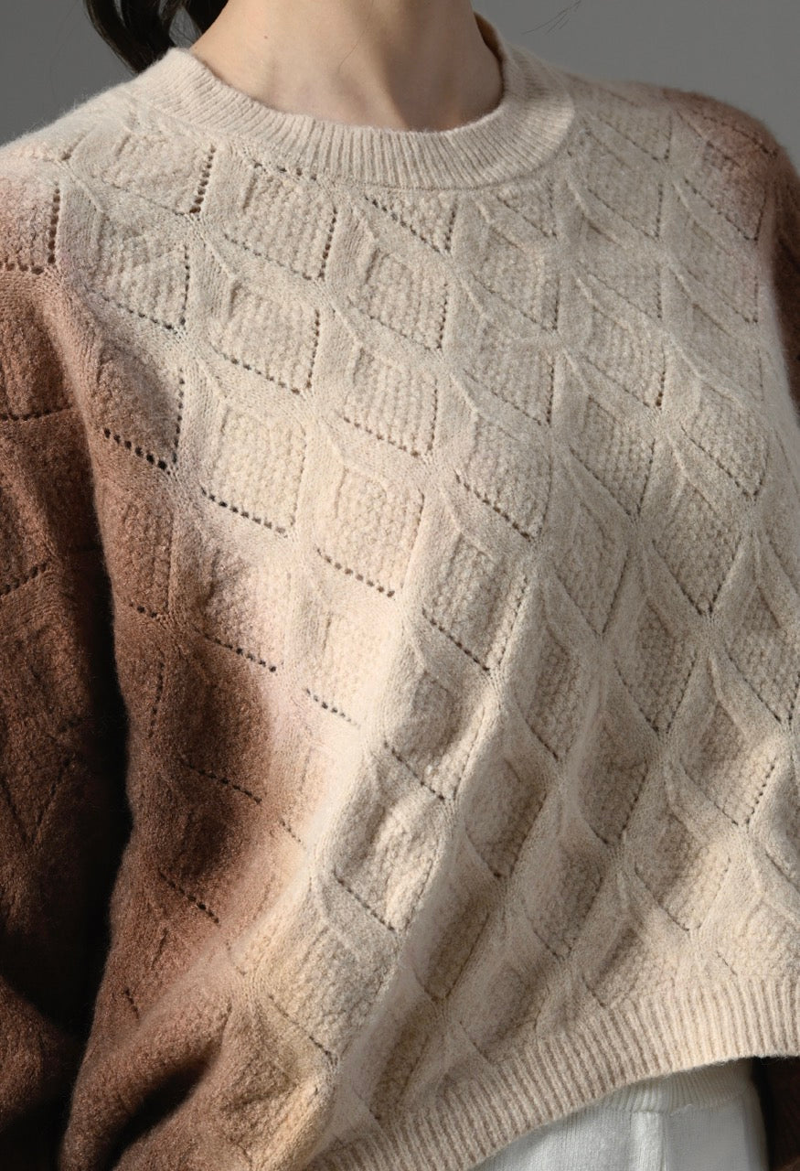 Pankh Beska Dual Shaded Luxe Wool Sweater