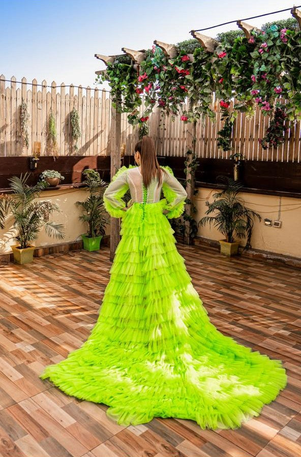 Pankh Amari Net Frill Long Trail Ball Gown