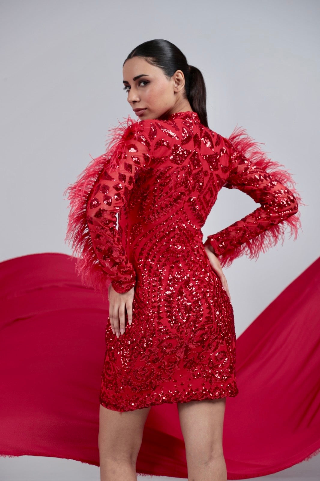 Pankh Habibi Sequin Embroidered Party Wear Dress With Fur Sleeves