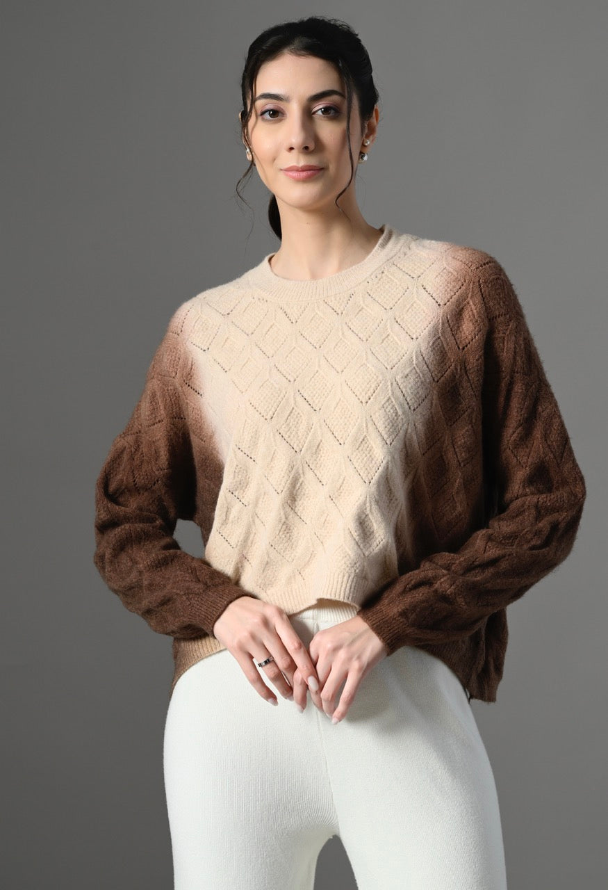 Pankh Beska Dual Shaded Luxe Cashmere Wool Ombre Sweater