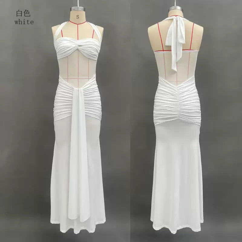 Pankh Milaya Bodycon Maxi Dress