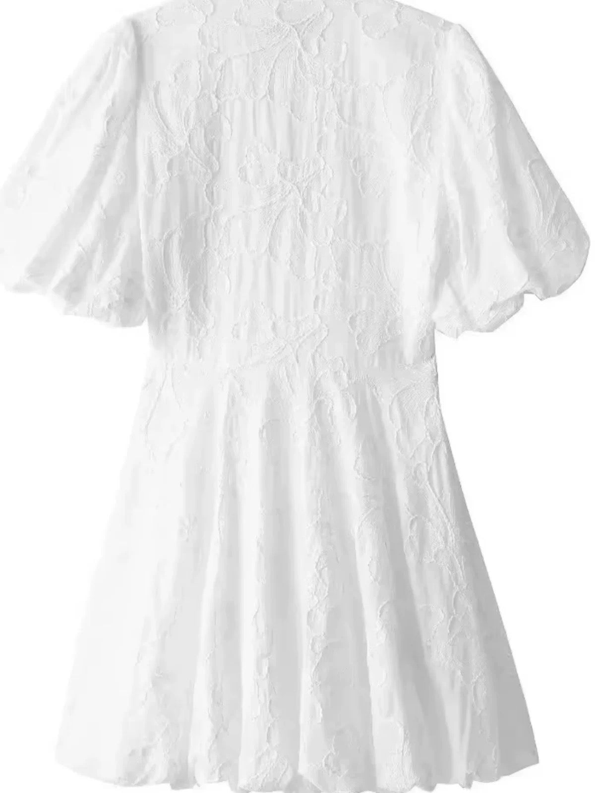 Pankh Pael V Neck Puff Sleeve Embroidered Pure Cotton Dress
