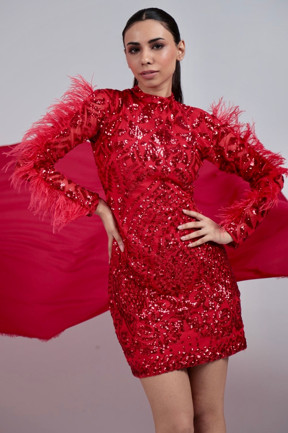 Pankh Habibi Sequin Embroidered Party Wear Dress With Fur Sleeves