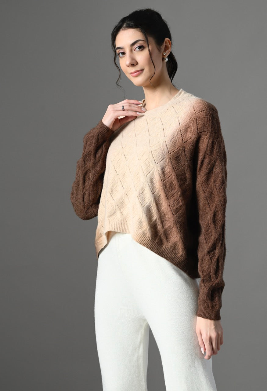 Pankh Beska Dual Shaded Luxe Cashmere Wool Ombre Sweater