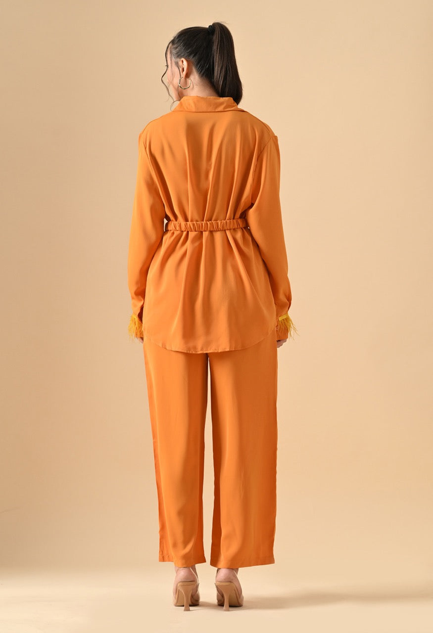 Pankh Efic Premium Satin Feather Sleeve Coord Set With Belt