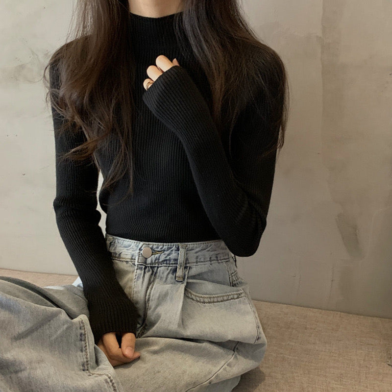 Pankh Neza High Neck Knit Top