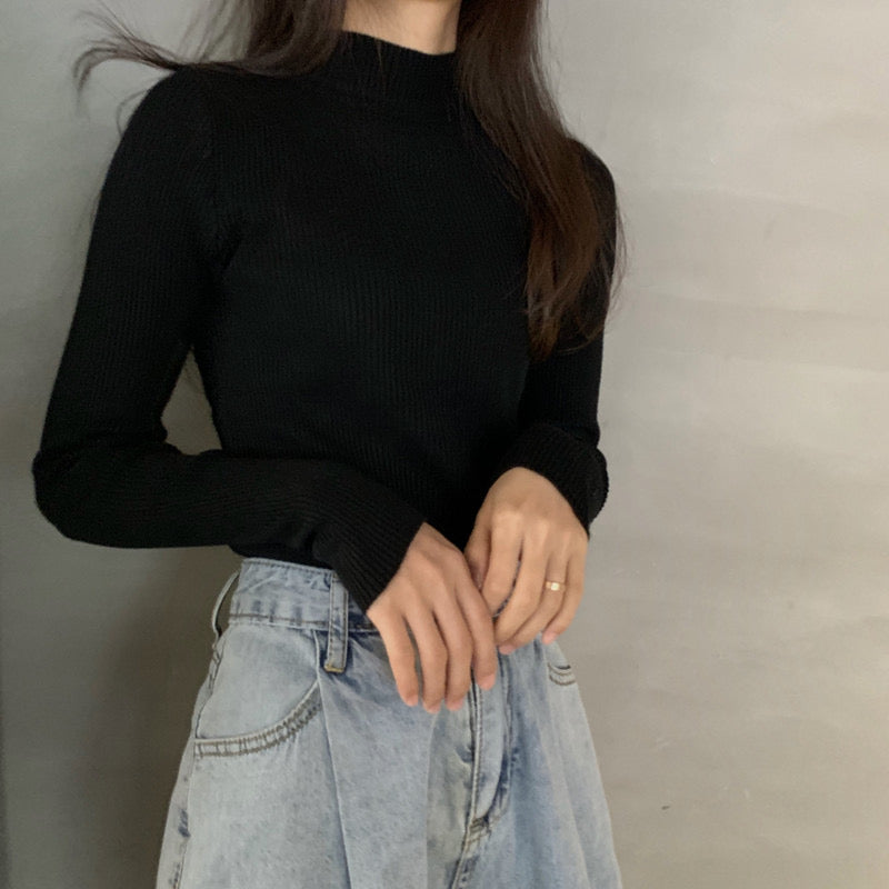 Pankh Neza High Neck Knit Top