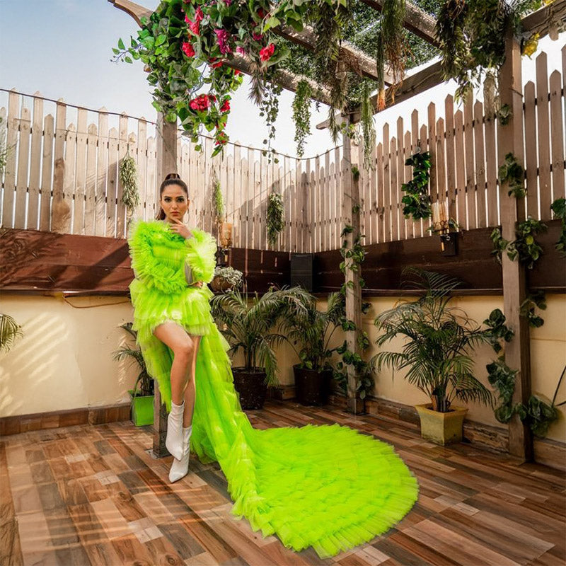Pankh Amari Net Frill Long Trail Ball Gown