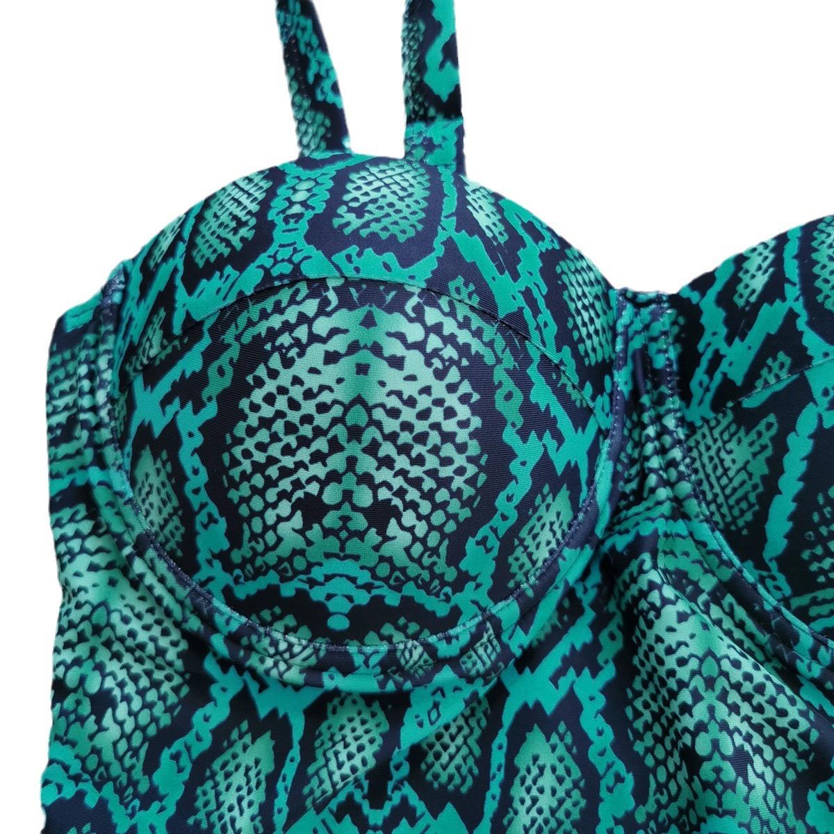 Pankh Michael Printed One Shoulder Ruffle Swimsuit Monokini