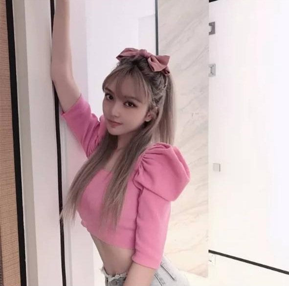 Pankh Kara Puff Sleeve Crop Top