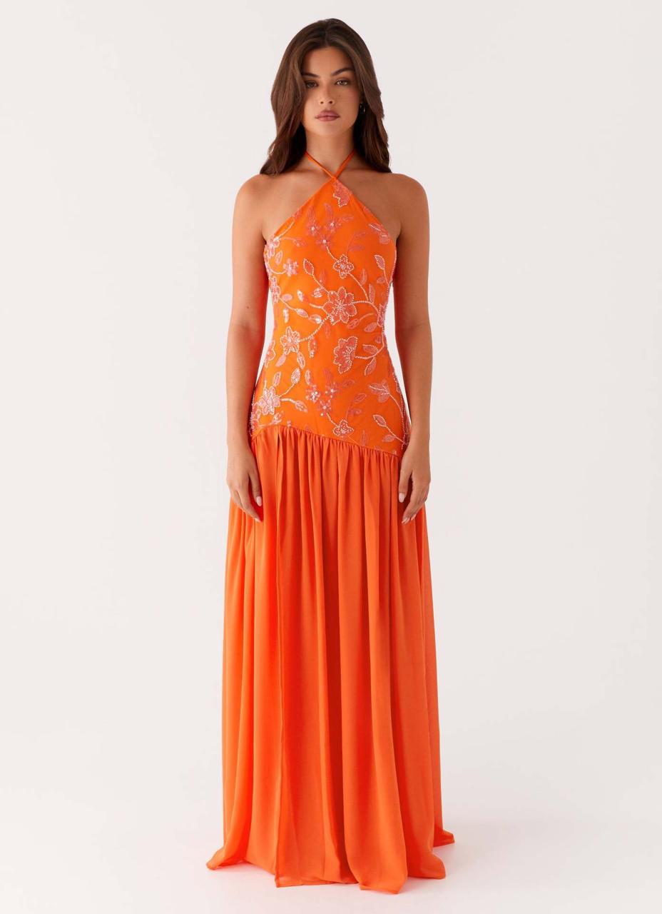 Pankh Irmak Sequin Motives Drop-Waist Maxi Dress