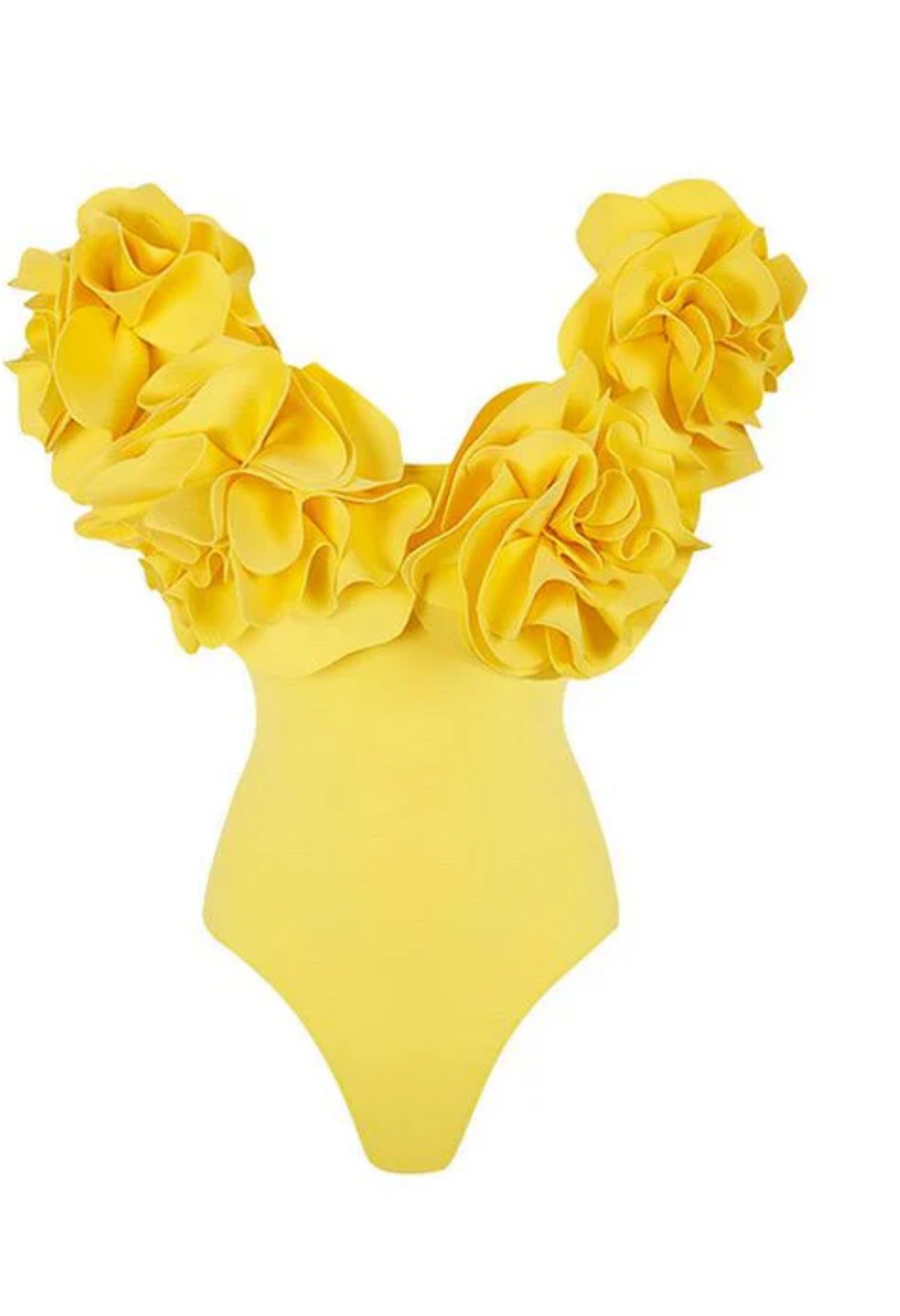 Pankh Bleza 3D Printed Floral SwimSuit Bodysuit Top