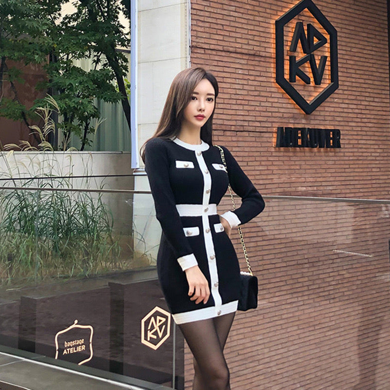 Pankh Sia Long Sleeve Chic Bodycon Sweater Dress