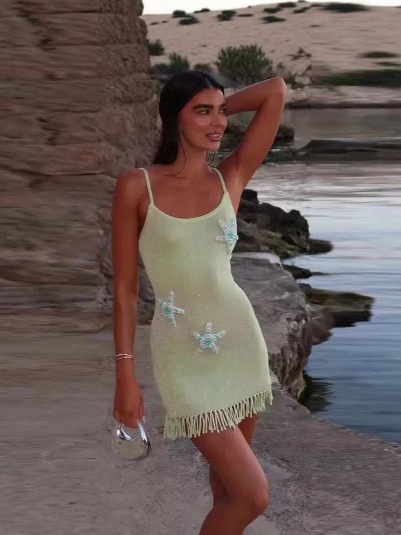 Pankh Igina Embellished Starfish Dress