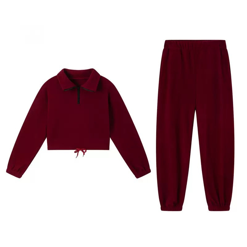 Hizku Fleece Cropped Hoodie and Jogger Pants