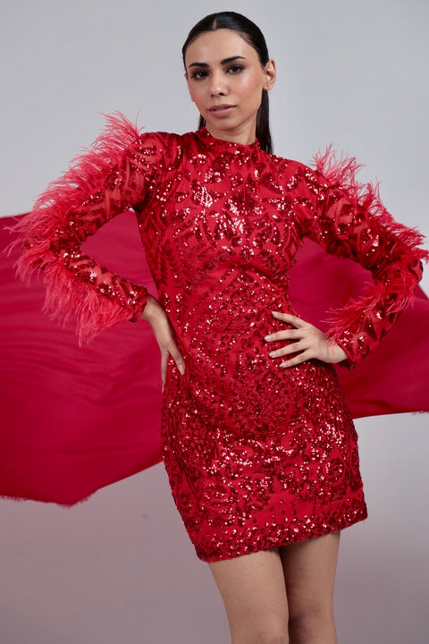 Pankh Habibi Sequin Embroidered Party Wear Dress With Fur Sleeves