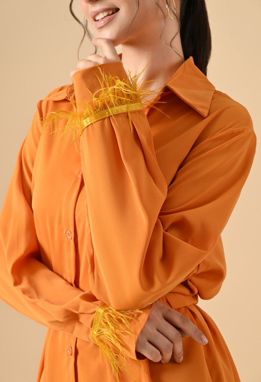 Pankh Efic Premium Satin Faether Sleeve Coord Set With Belt