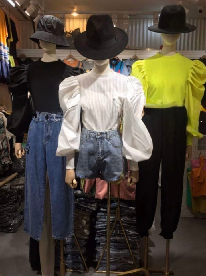 Pankh Terra Puff Sleeve Pullove Top