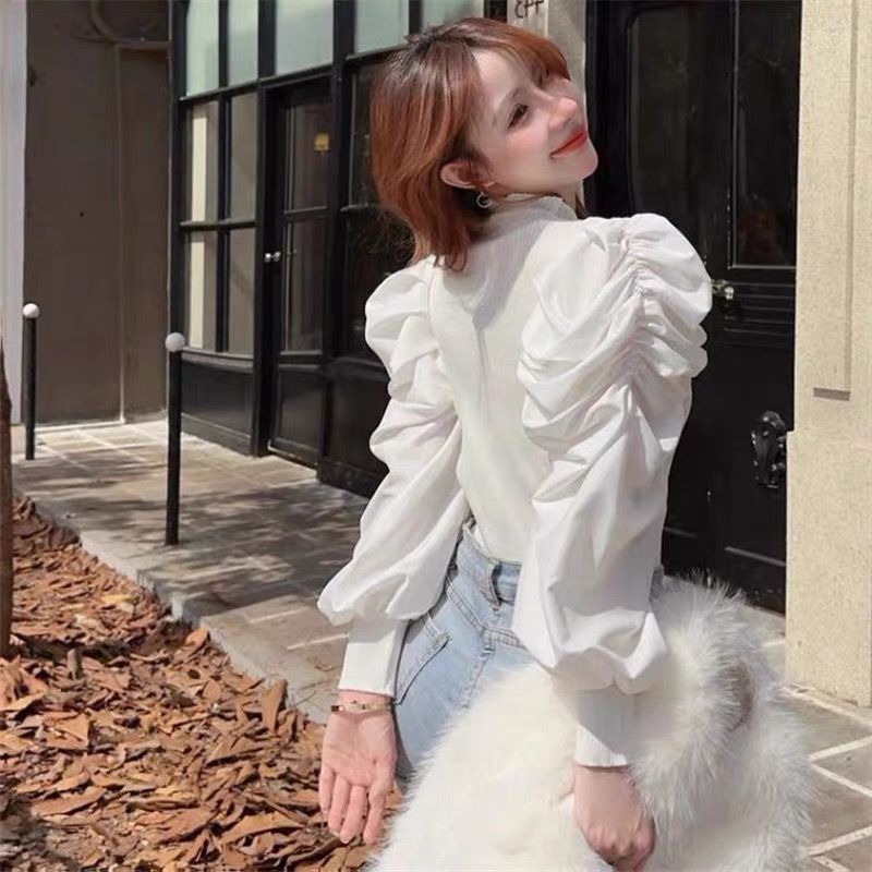 Pankh Terra Puff Sleeve Pullove Top