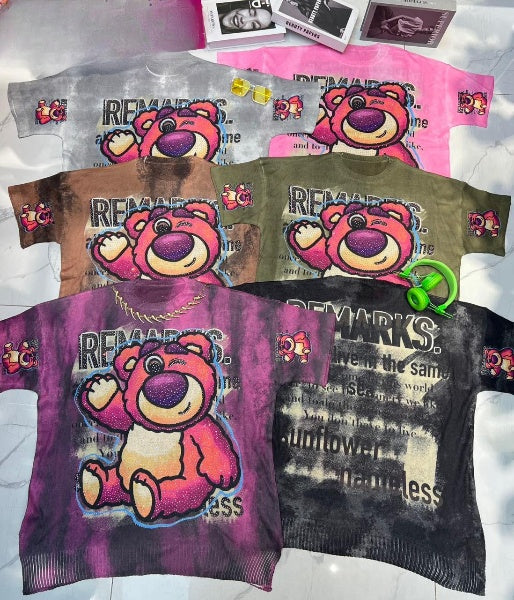 Pankh Teddy Graphic Printed Stone T-shirts.